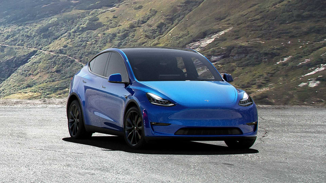  Model Y